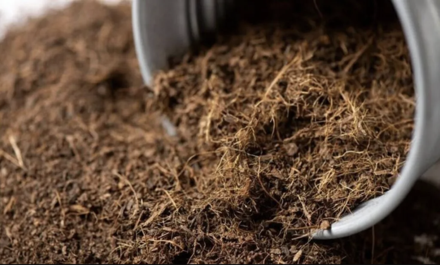 Media Tanam dari TKKS